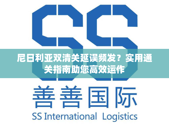 尼日利亚双清关延误频发?实用通关指南助您高效运作 尼日利亚双清关延误频发?实用通关指南助您高效运作