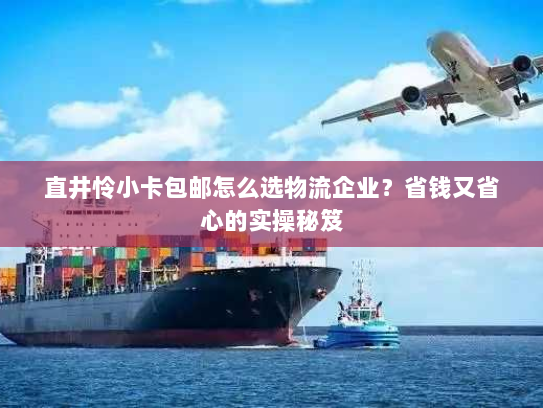 直井怜小卡包邮怎么选物流企业？省钱又省心的实操秘笈