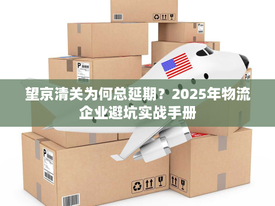 望京清关为何总延期？2025年物流企业避坑实战手册