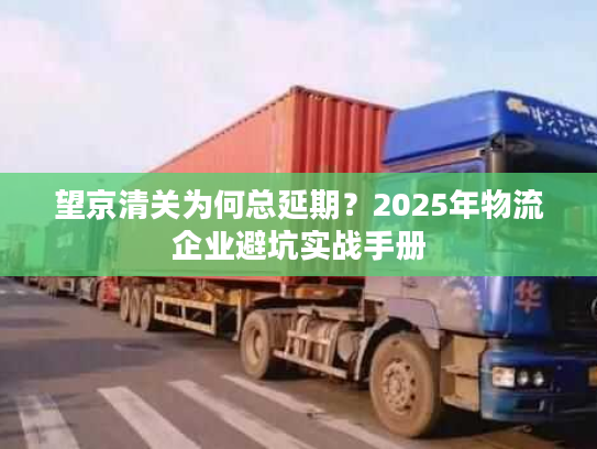 望京清关为何总延期？2025年物流企业避坑实战手册