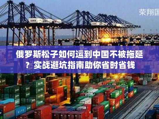 俄罗斯松子如何运到中国不被拖延？实战避坑指南助你省时省钱