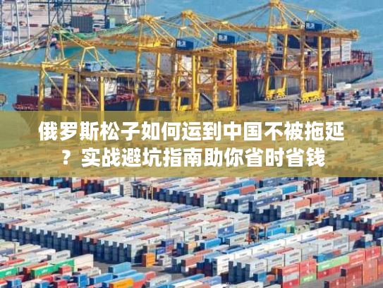 俄罗斯松子如何运到中国不被拖延？实战避坑指南助你省时省钱