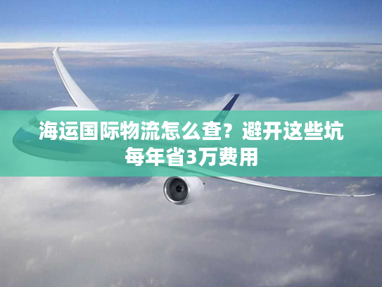 海运国际物流怎么查？避开这些坑每年省3万费用
