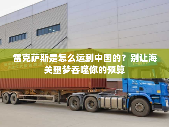 雷克萨斯是怎么运到中国的？别让海关噩梦吞噬你的预算