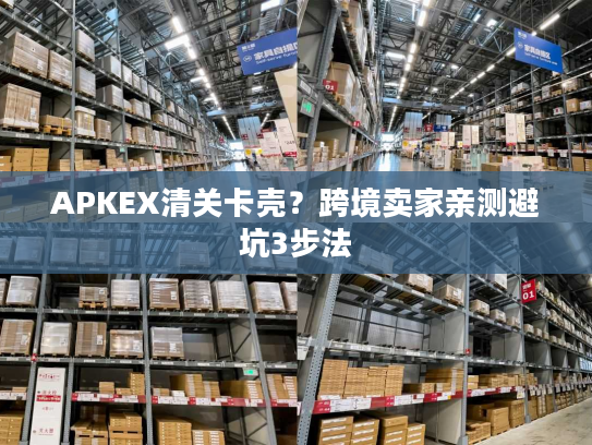 APKEX清关卡壳？跨境卖家亲测避坑3步法