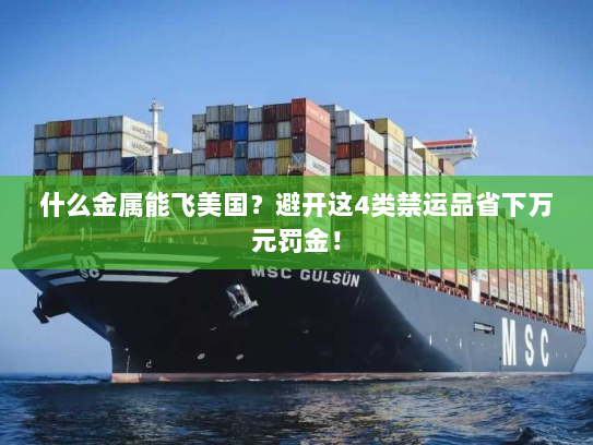 什么金属能飞美国?避开这4类禁运品省下万元罚金! 什么金属能飞美国?避开这4类禁运品省下万元罚金!