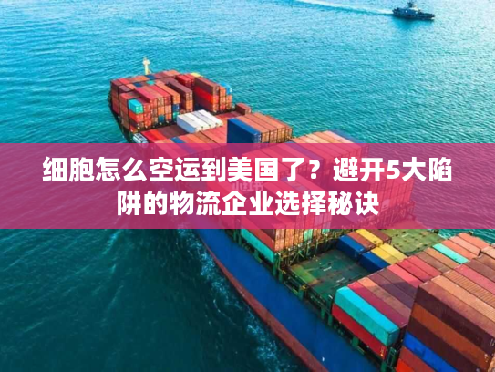 细胞怎么空运到美国了？避开5大陷阱的物流企业选择秘诀