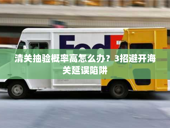 清关抽验概率高怎么办？3招避开海关延误陷阱