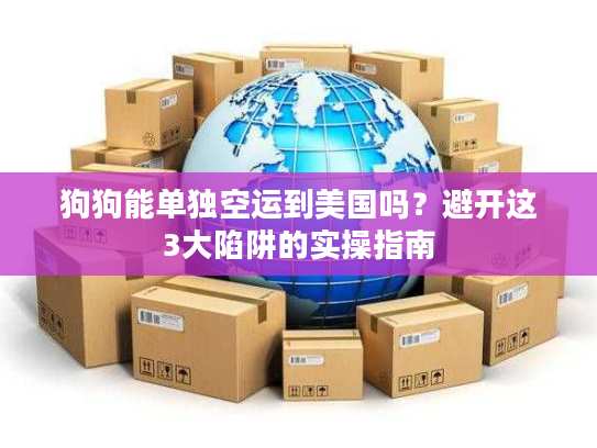 狗狗能单独空运到美国吗？避开这3大陷阱的实操指南