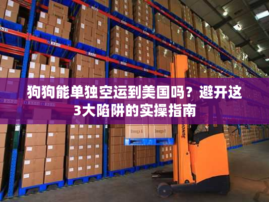 狗狗能单独空运到美国吗？避开这3大陷阱的实操指南