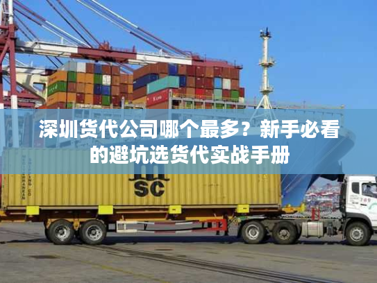 深圳货代公司哪个最多？新手必看的避坑选货代实战手册