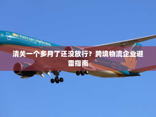 清关一个多月了还没放行？跨境物流企业避雷指南