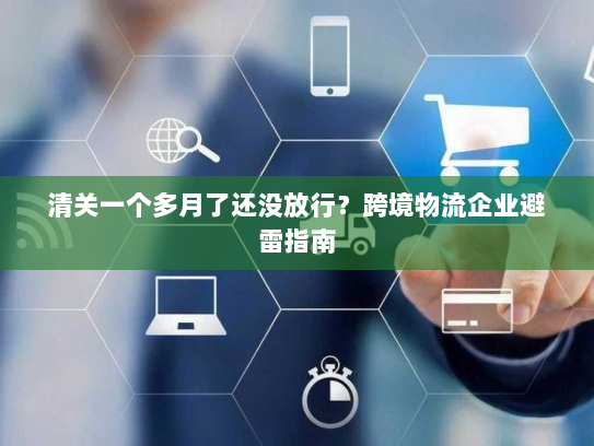 清关一个多月了还没放行？跨境物流企业避雷指南