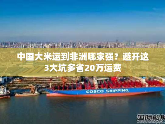 中国大米运到非洲哪家强？避开这3大坑多省20万运费