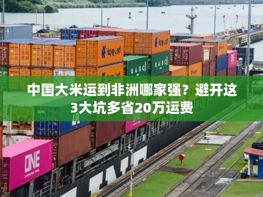中国大米运到非洲哪家强？避开这3大坑多省20万运费