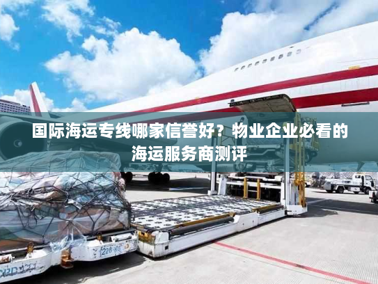 国际海运专线哪家信誉好？物业企业必看的海运服务商测评