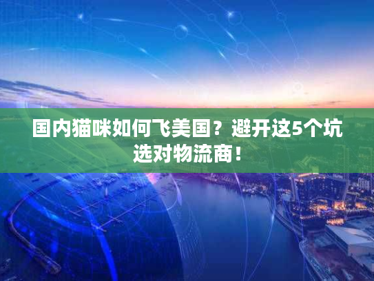 国内猫咪如何飞美国？避开这5个坑选对物流商！