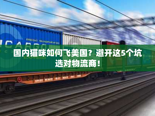国内猫咪如何飞美国？避开这5个坑选对物流商！