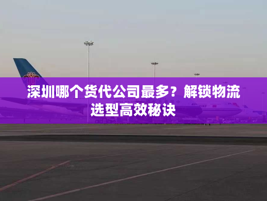 深圳哪个货代公司最多？解锁物流选型高效秘诀