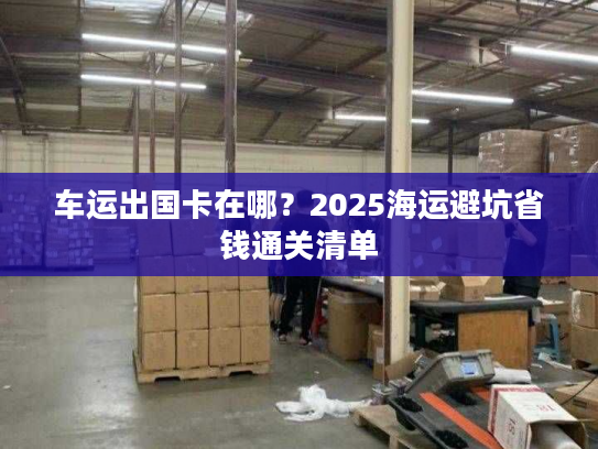 车运出国卡在哪？2025海运避坑省钱通关清单