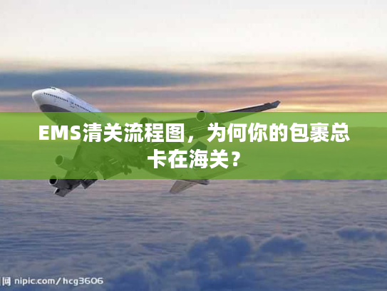 EMS清关流程图，为何你的包裹总卡在海关？