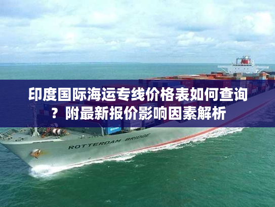 印度国际海运专线价格表如何查询？附最新报价影响因素解析