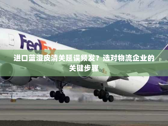 进口蓝湿皮清关延误频发？选对物流企业的关键步骤