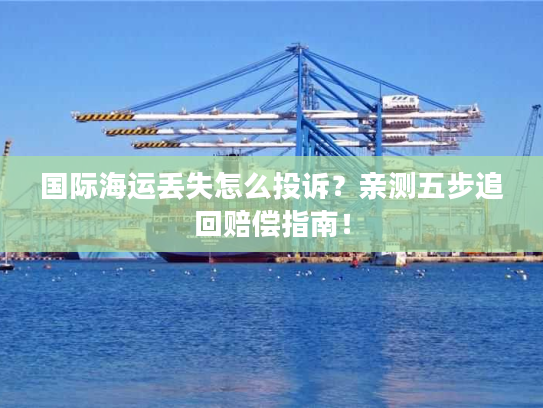 国际海运丢失怎么投诉？亲测五步追回赔偿指南！