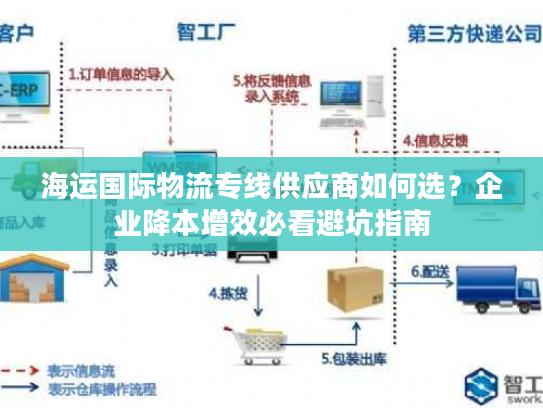 海运国际物流专线供应商如何选？企业降本增效必看避坑指南