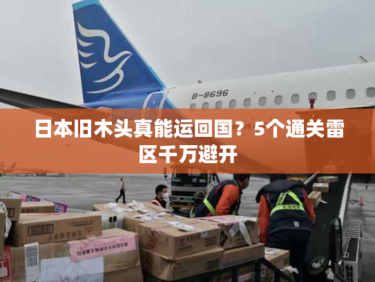日本旧木头真能运回国？5个通关雷区千万避开