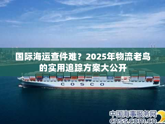国际海运查件难？2025年物流老鸟的实用追踪方案大公开