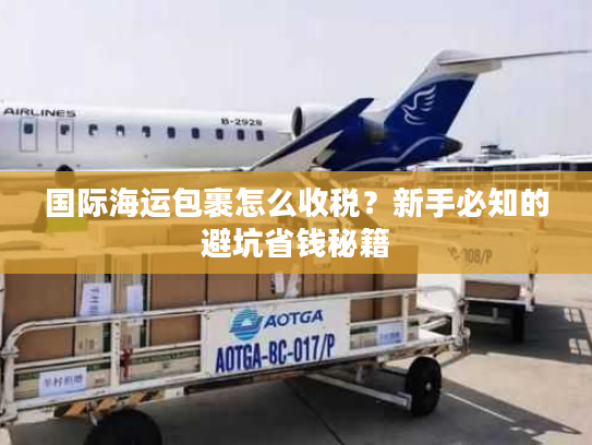 国际海运包裹怎么收税？新手必知的避坑省钱秘籍