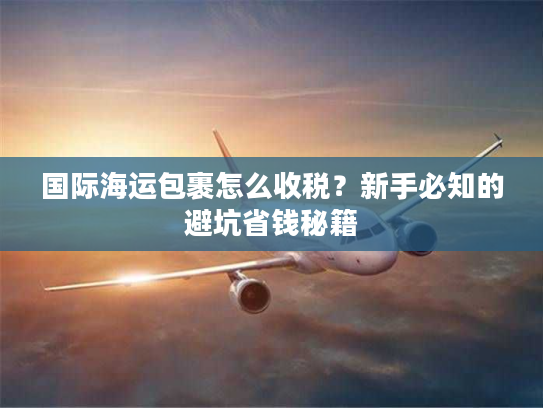 国际海运包裹怎么收税？新手必知的避坑省钱秘籍