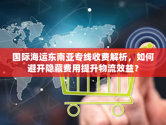 国际海运东南亚专线收费解析，如何避开隐藏费用提升物流效益？
