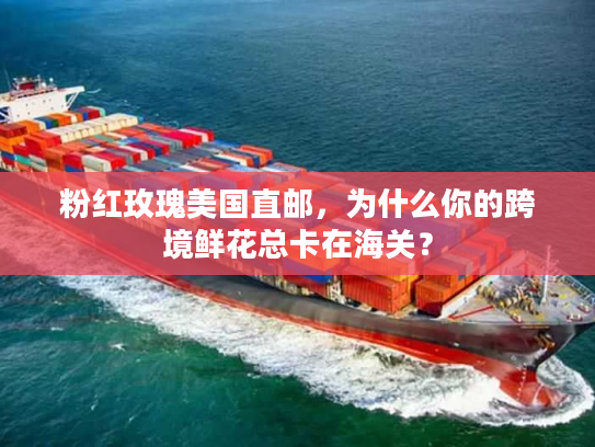 粉红玫瑰美国直邮，为什么你的跨境鲜花总卡在海关？