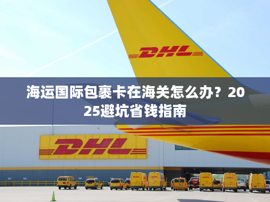 海运国际包裹卡在海关怎么办？2025避坑省钱指南