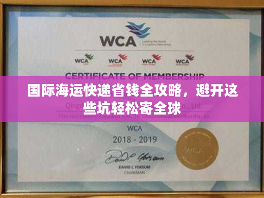 国际海运快递省钱全攻略，避开这些坑轻松寄全球