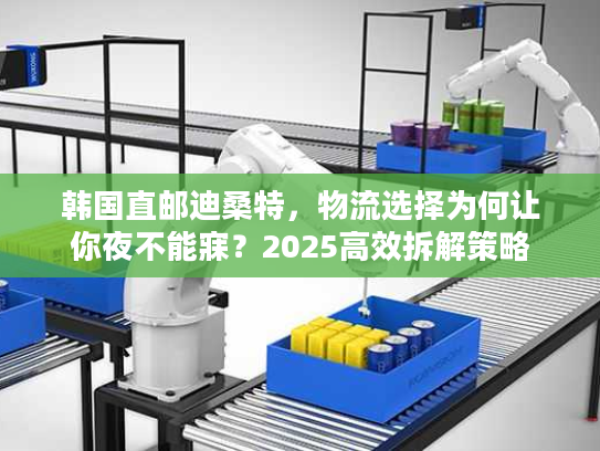 韩国直邮迪桑特，物流选择为何让你夜不能寐？2025高效拆解策略