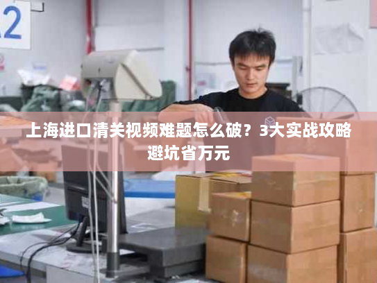 上海进口清关视频难题怎么破？3大实战攻略避坑省万元