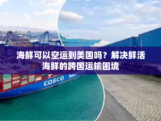 海鲜可以空运到美国吗？解决鲜活海鲜的跨国运输困境