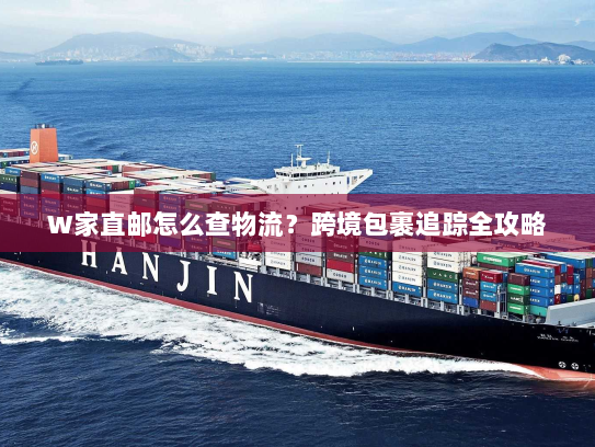W家直邮怎么查物流？跨境包裹追踪全攻略