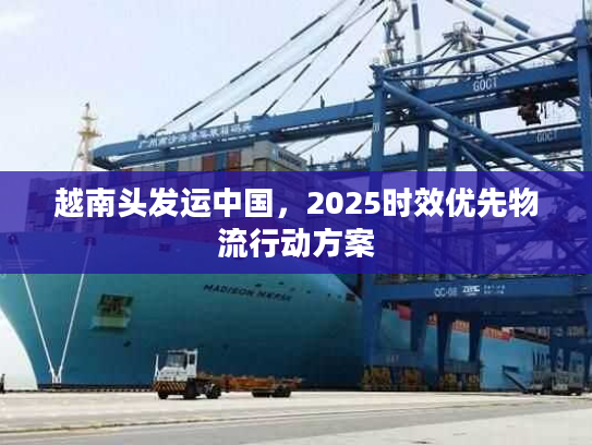 越南头发运中国,2025时效优先物流行动方案 越南头发运中国,2025时效优先物流行动方案