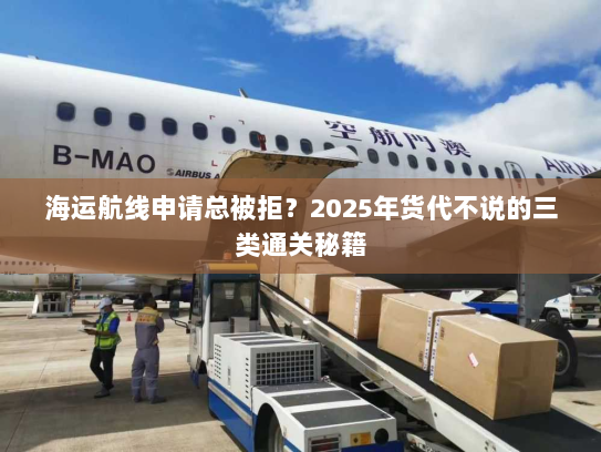 海运航线申请总被拒？2025年货代不说的三类通关秘籍