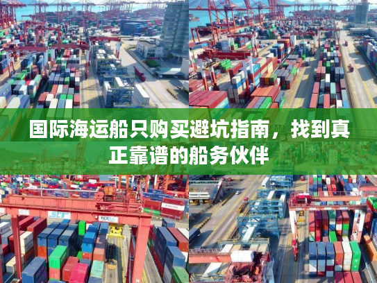 国际海运船只购买避坑指南，找到真正靠谱的船务伙伴