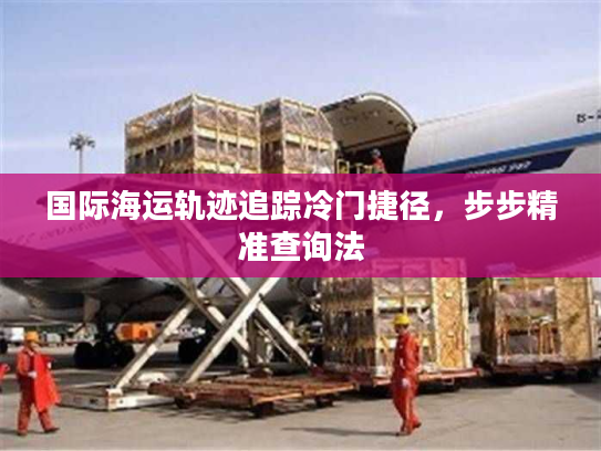 国际海运轨迹追踪冷门捷径，步步精准查询法