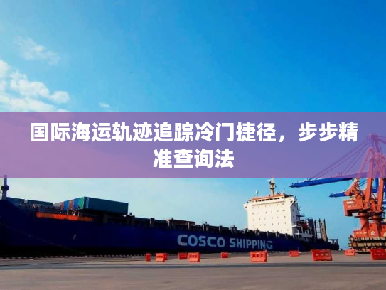 国际海运轨迹追踪冷门捷径，步步精准查询法