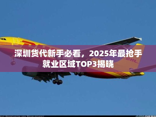 深圳货代新手必看，2025年最抢手就业区域TOP3揭晓