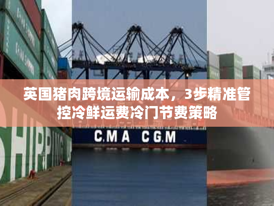 英国猪肉跨境运输成本，3步精准管控冷鲜运费冷门节费策略
