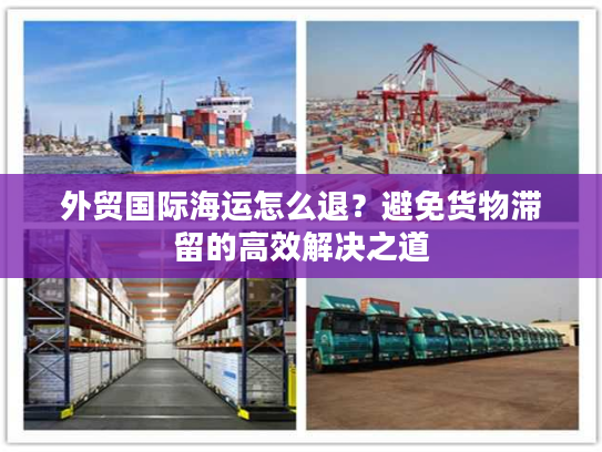 外贸国际海运怎么退?避免货物滞留的高效解决之道 外贸国际海运怎么退?避免货物滞留的高效解决之道