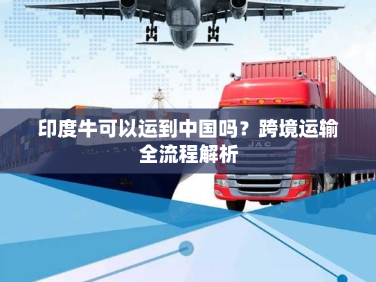 印度牛可以运到中国吗？跨境运输全流程解析